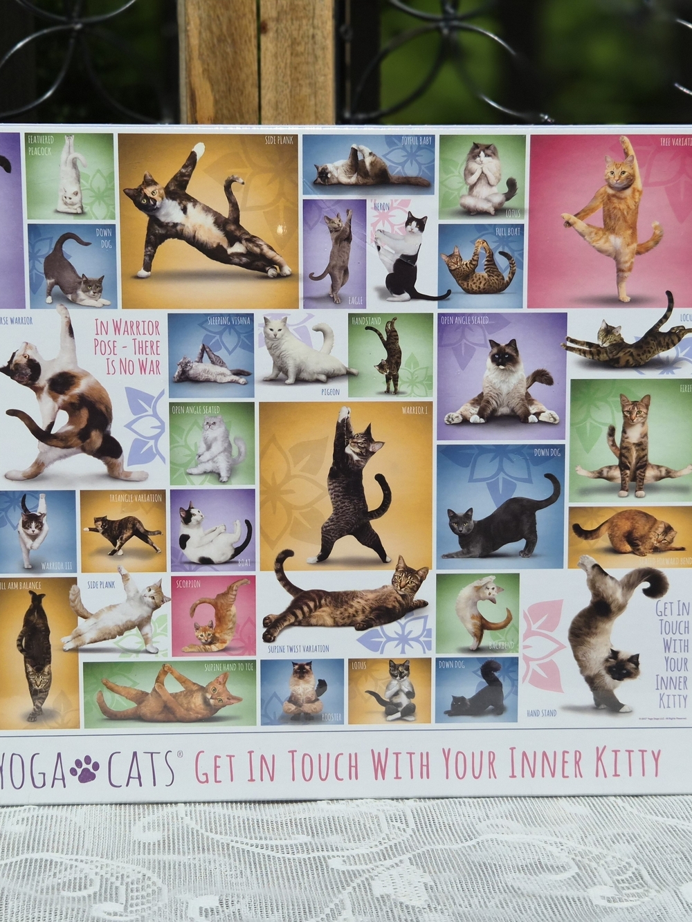 Yoga Cats Puzzle - Colorful Cat Poses